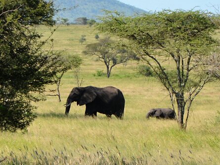 2020-02_Tanzanie 3
