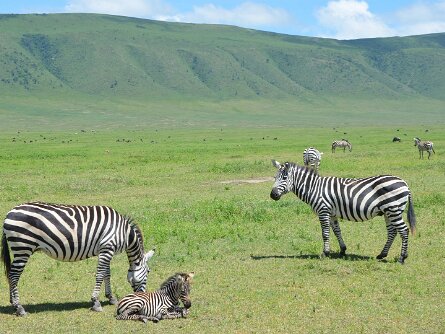 2020-02_Tanzanie 4
