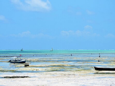 2020-02_Tanzanie 5