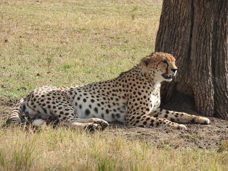 2015-10_Kenya