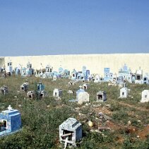 1987-09_Mexique_A-005 null