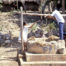 habitants mayas extrayant de l'eau d'un puits traditionnel dans la péninsule du Yucatán, au Mexique null