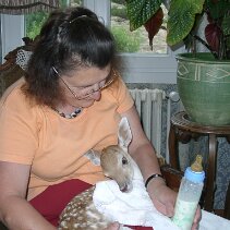 2003-06-19_06-57-57 null