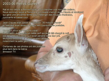 2003-06_Perros-Guirec